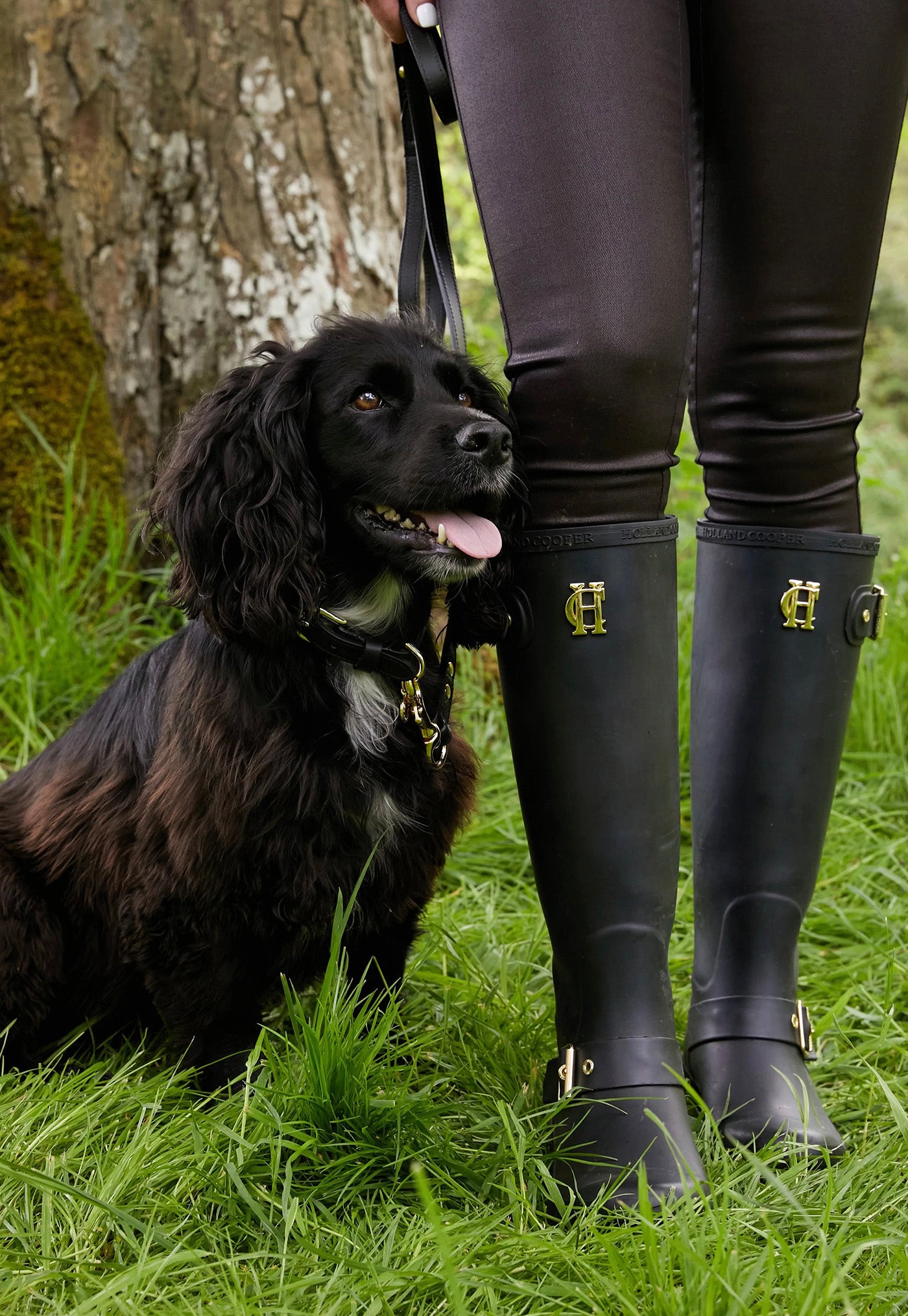 Joules labrador clearance wellies